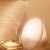 philips hf3510 wake up light
